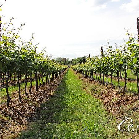 Agriturismo Ca'Mattei Pescantina Buitenkant foto
