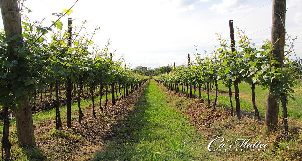 Agriturismo Ca'Mattei Pescantina Buitenkant foto