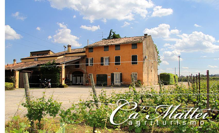 Agriturismo Ca'Mattei Pescantina Buitenkant foto