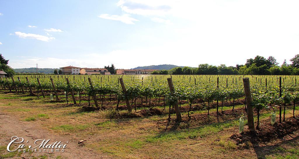 Agriturismo Ca'Mattei Pescantina Buitenkant foto
